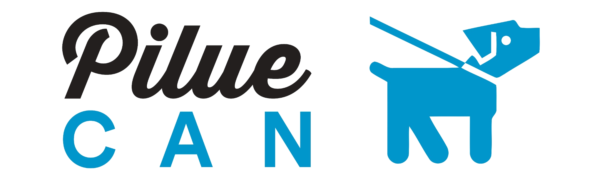 Piluecan Logo